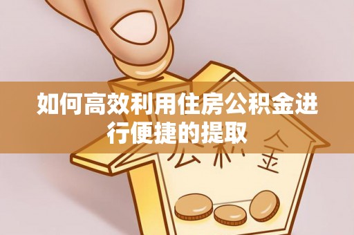娄底如何高效利用住房公积金进行便捷的提取