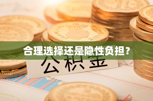 娄底合理选择还是隐性负担？