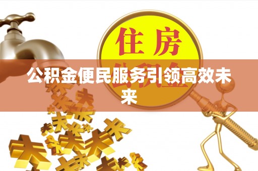 娄底公积金便民服务引领高效未来