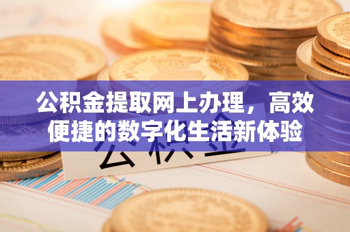 娄底公积金提取网上办理，高效便捷的数字化生活新体验