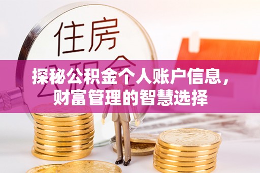 娄底探秘公积金个人账户信息，财富管理的智慧选择