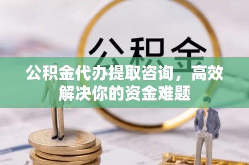 娄底公积金代办提取咨询，高效解决你的资金难题