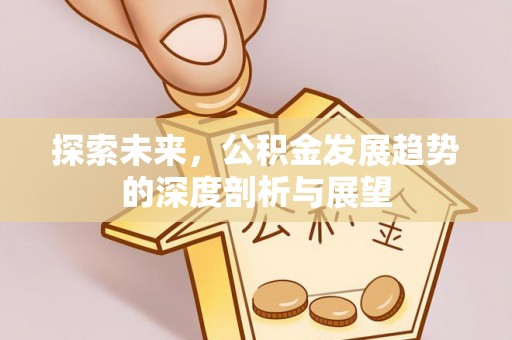 娄底探索未来，公积金发展趋势的深度剖析与展望