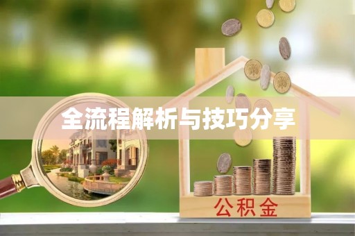 娄底全流程解析与技巧分享