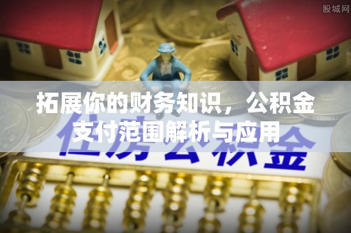 娄底拓展你的财务知识，公积金支付范围解析与应用
