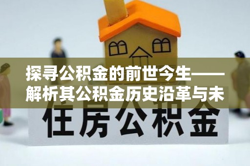 娄底探寻公积金的前世今生——解析其公积金历史沿革与未来方向