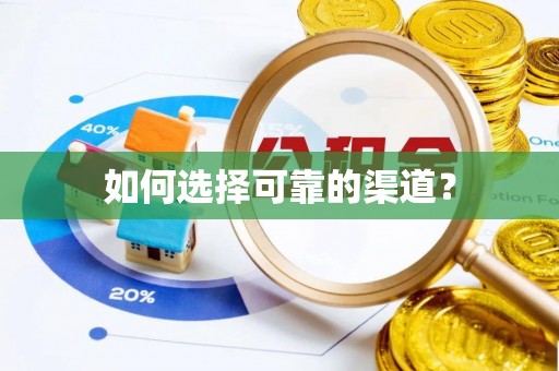 娄底如何选择可靠的渠道？
