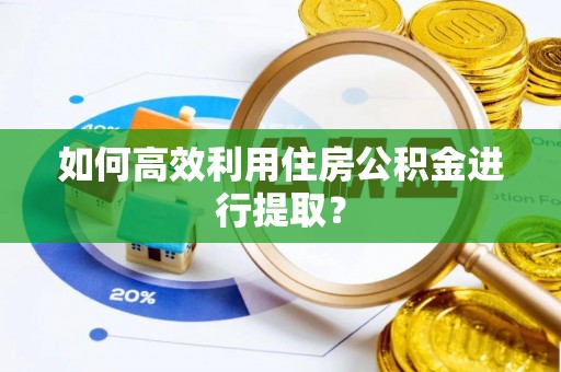 娄底如何高效利用住房公积金进行提取？