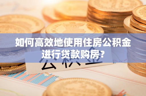 娄底如何高效地使用住房公积金进行贷款购房？