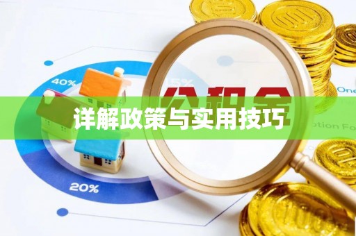 娄底详解政策与实用技巧