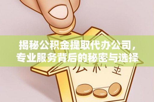娄底揭秘公积金提取代办公司，专业服务背后的秘密与选择指南