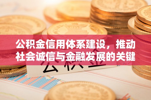 娄底公积金信用体系建设，推动社会诚信与金融发展的关键桥梁