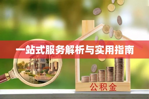 娄底一站式服务解析与实用指南