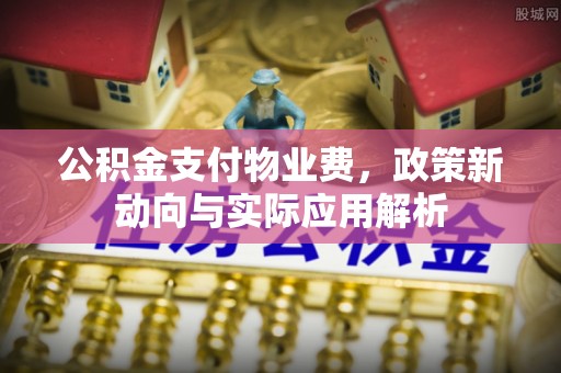 娄底公积金支付物业费，政策新动向与实际应用解析