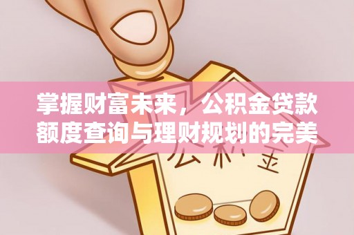 娄底掌握财富未来，公积金贷款额度查询与理财规划的完美结合