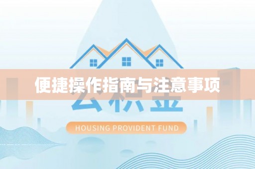 娄底便捷操作指南与注意事项