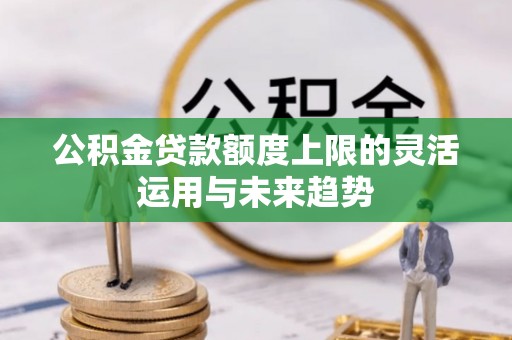 娄底公积金贷款额度上限的灵活运用与未来趋势