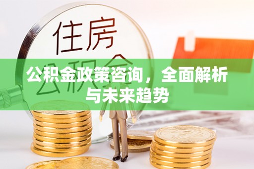 娄底公积金政策咨询，全面解析与未来趋势
