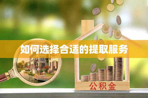 娄底如何选择合适的提取服务