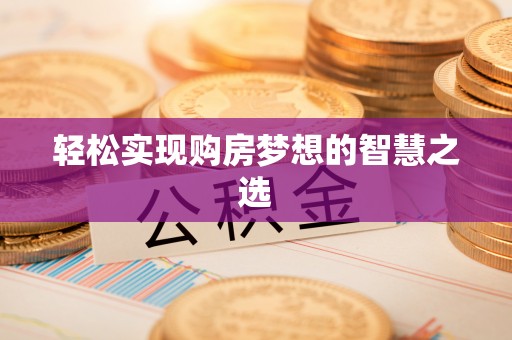 娄底轻松实现购房梦想的智慧之选